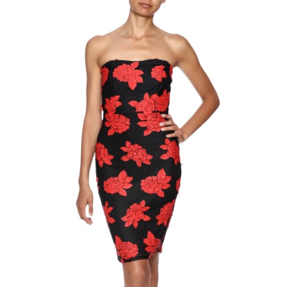 Mystic Floral Rose Appliqué Mesh Bodycon Dress - Picture 14 of 14